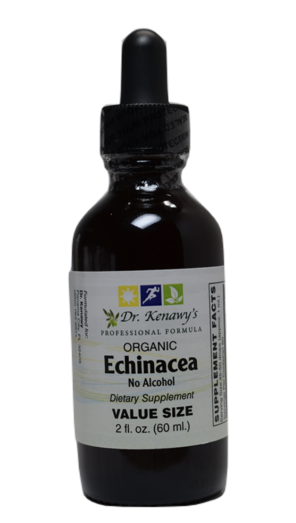 Dr. Kenawy's Echinacea (Organic, Alcohol-Free) 2 FL OZ