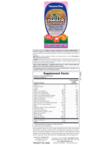 Animal Parade® Gummies - Children's MultiVitamin & Mineral Supplement with Whole Food Concentrates (50 Animal-Shaped Gummies)